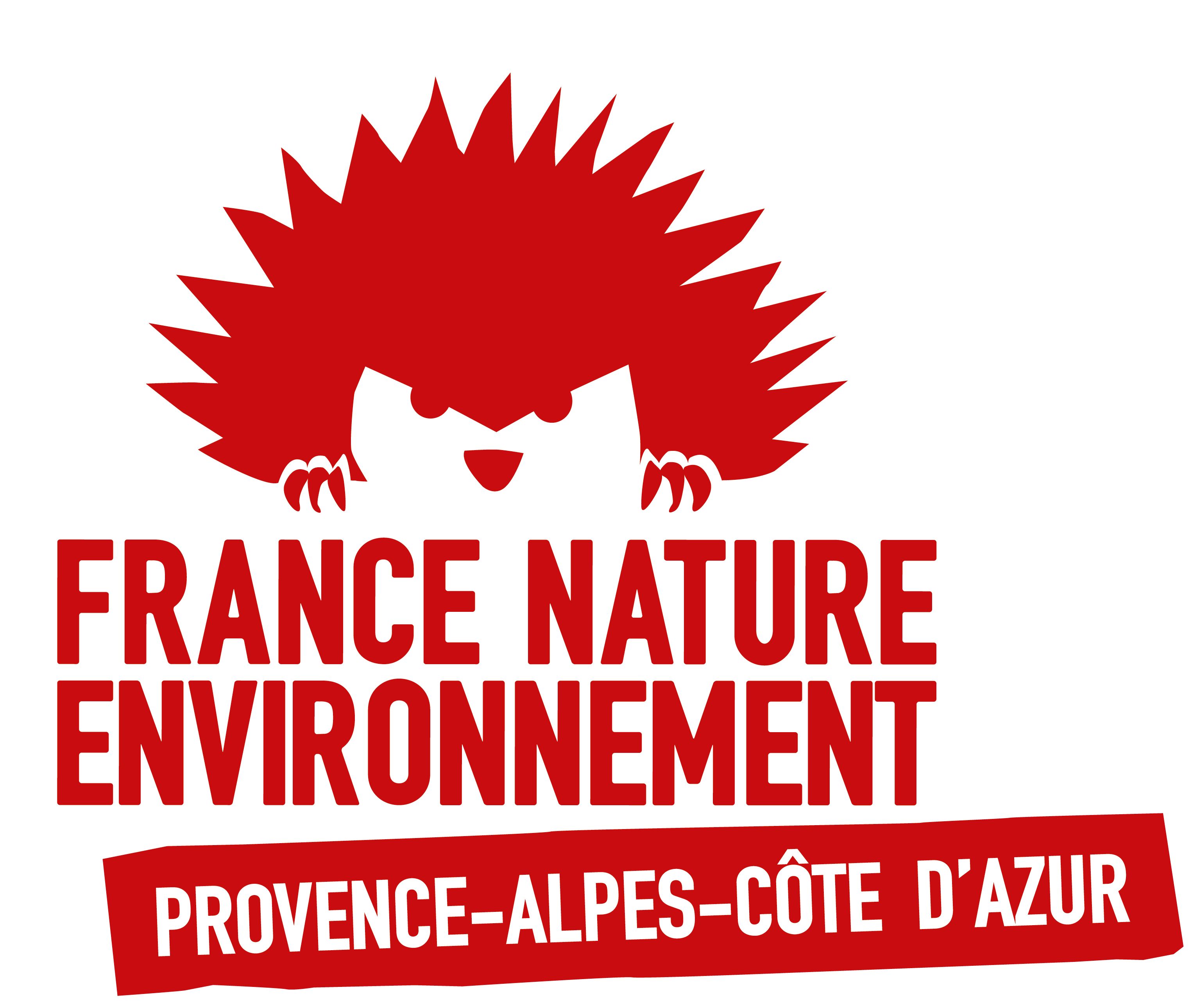 logo FNE Provence Alpes Côte d'Azur